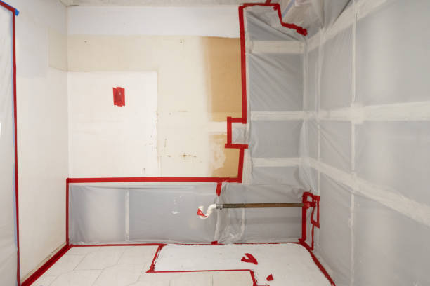 Best Post-Remediation Verification Testing  in Loxley, AL