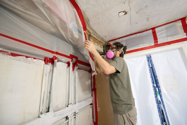 Mold Remediation for Vacation Homes in Loxley, AL