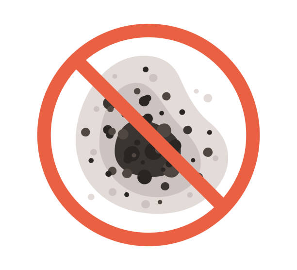 Trusted Loxley, AL Mold Removal Experts