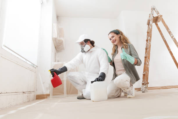 Best Asbestos and Lead Testing During Mold Inspection  in Loxley, AL
