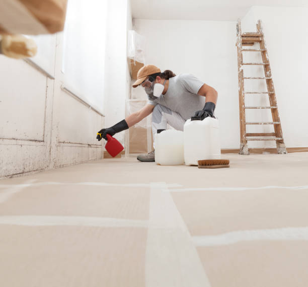 Best Dehumidification Services  in Loxley, AL